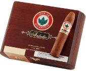 Joya de Nicaragua Antano 170 Gran Consul cigars. Box of 20. Free shipping!