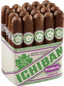 Room 101 Ichiban Habano Robusto cigars made in Dominican Republic. 3 x Bundle of 20. Free shipping!
