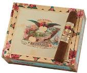 San Cristobal Revelation Prophet cigars made in Nicaragua. Box of 24. Free shipping!